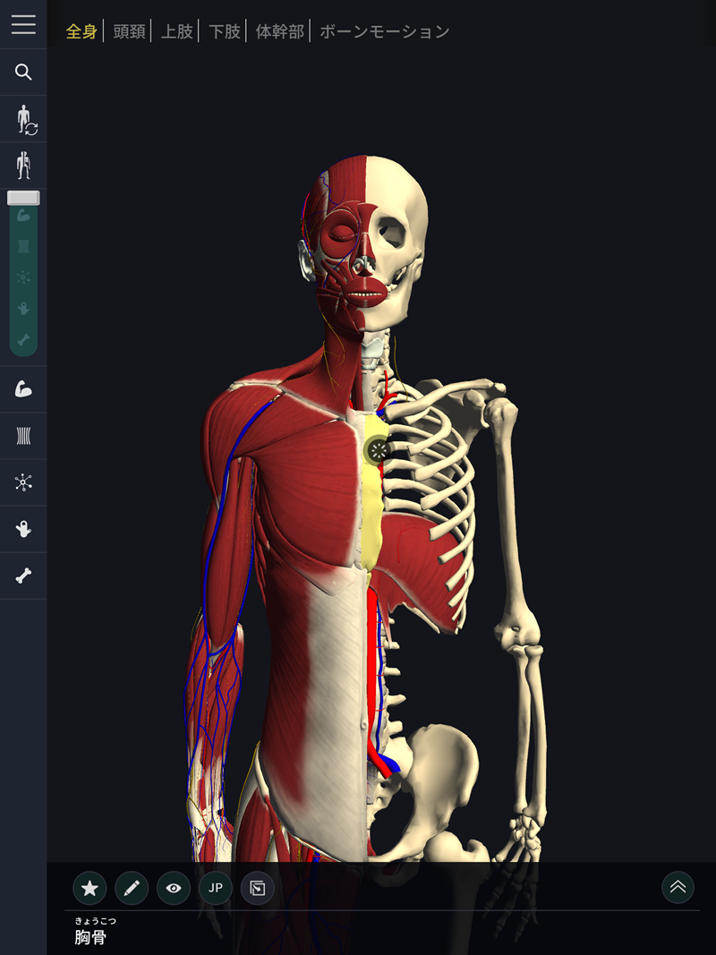 骨/筋肉に特化した専用アプリ