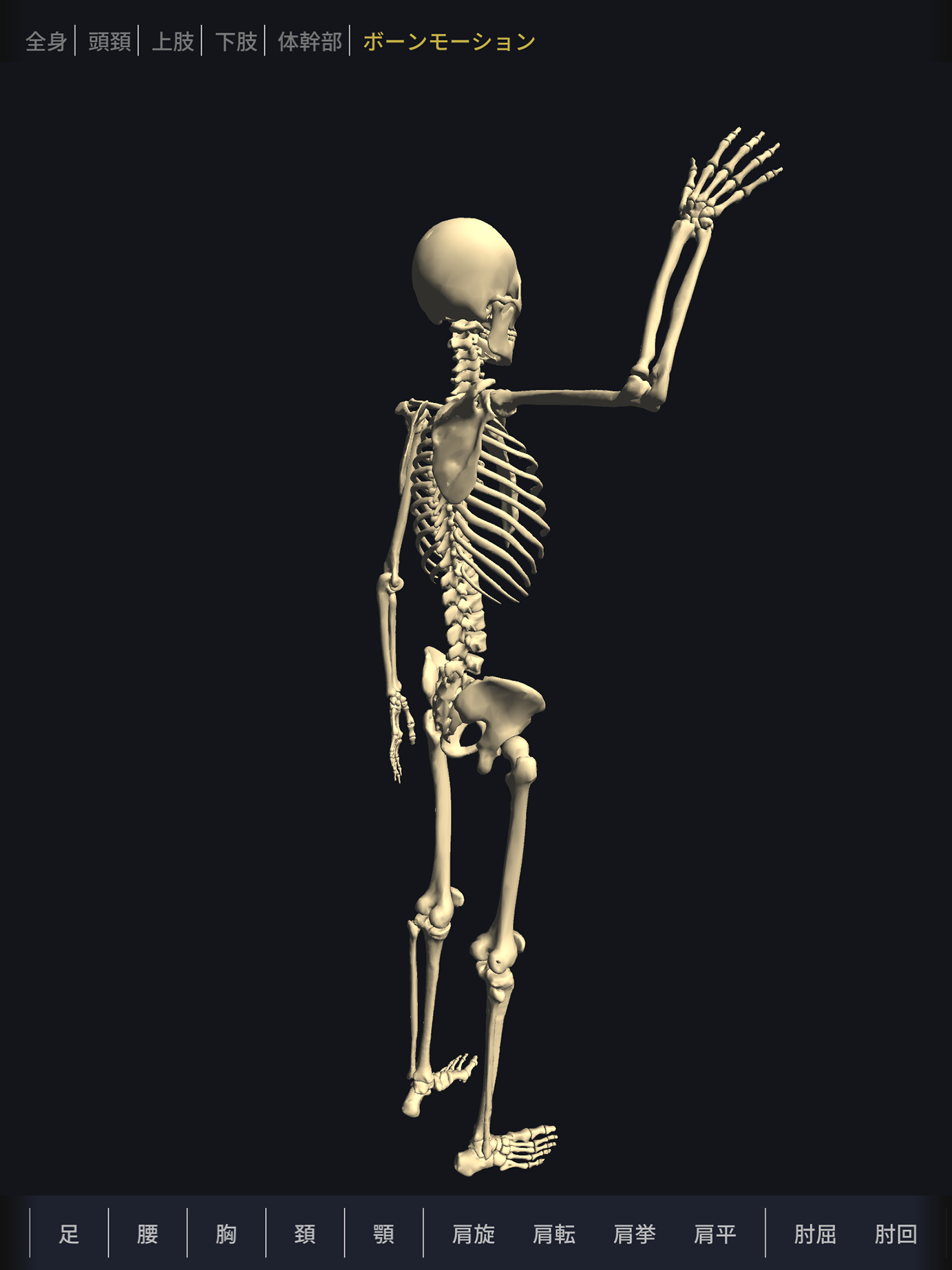 骨/筋肉に特化した専用アプリ