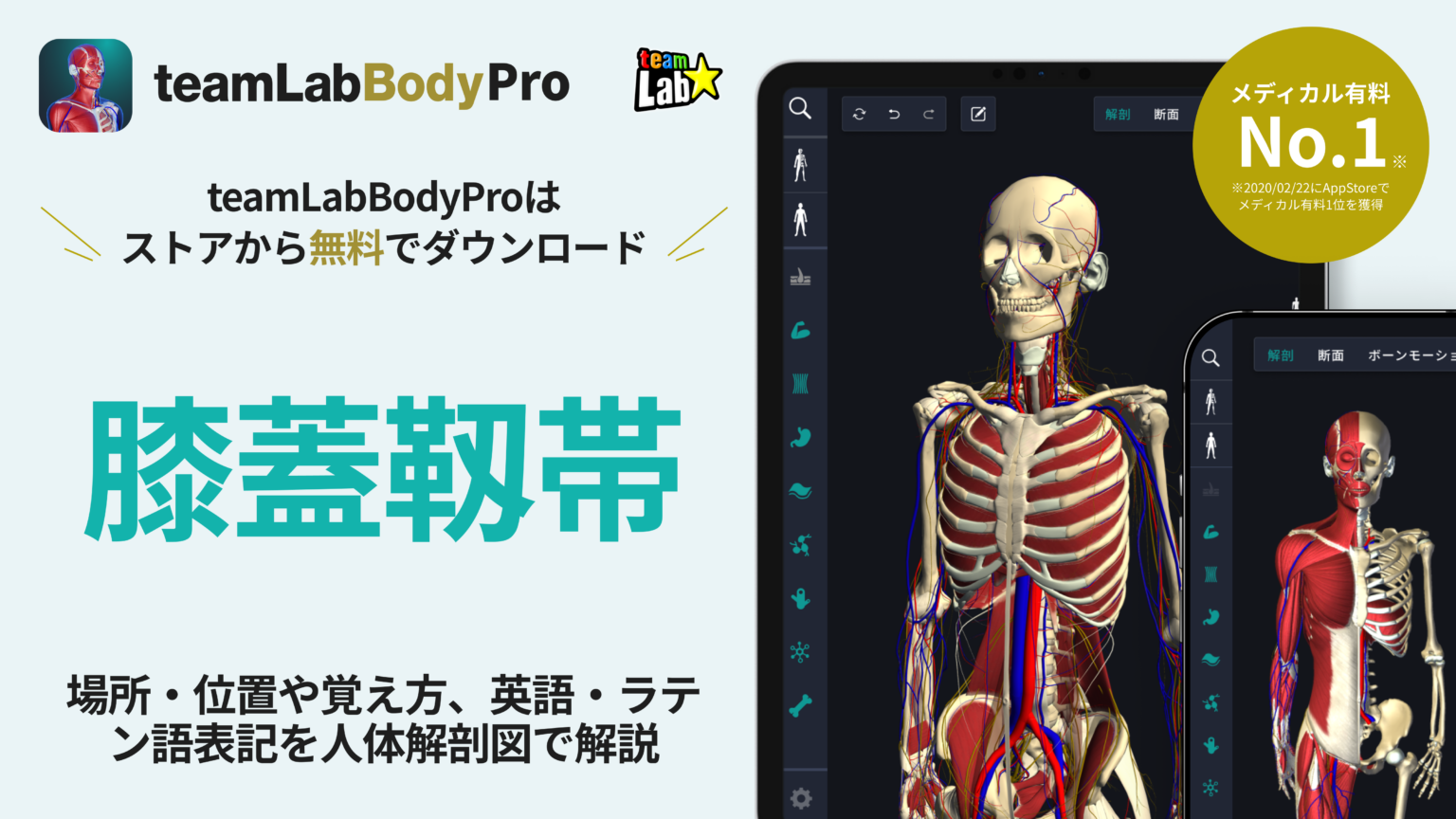 日本映画初、無修正の春画がスクリーンに！ 内野聖陽が春画研究家を熱演「春画先生」10月13日公開 ヒロインは北香那 : 映画ニュース - 映画.com