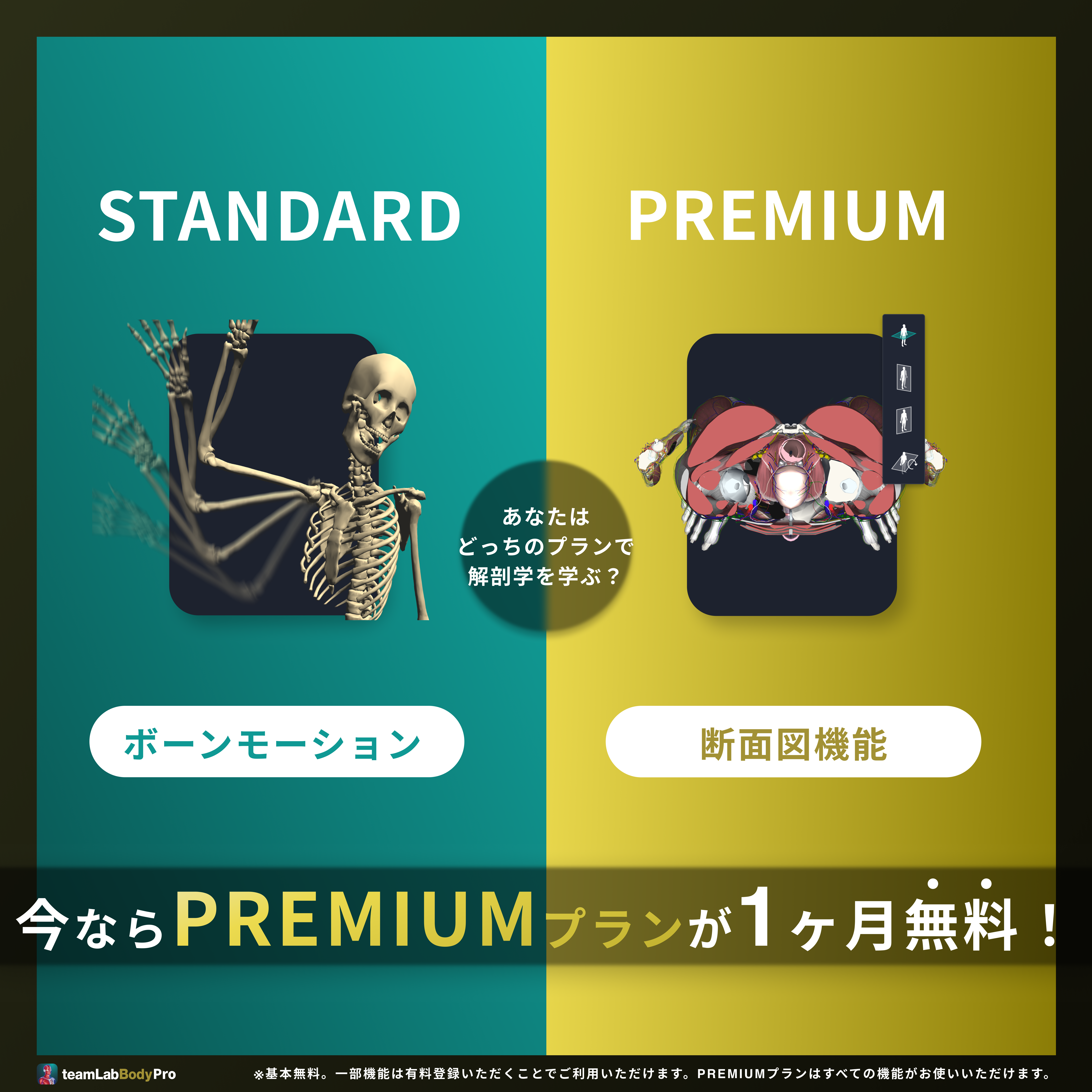 商品バナー