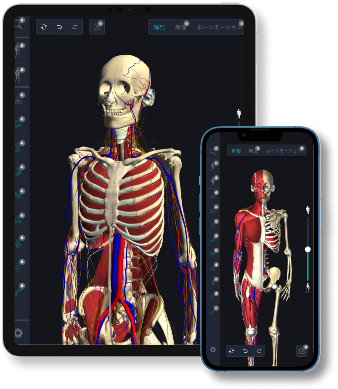 teamlabBody Pro アプリ画面
